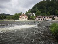 IMG_20240701_110805.jpg
